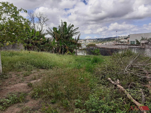 Imagem 4 de 4 de Terreno Para Venda, 698.75m² - 3110