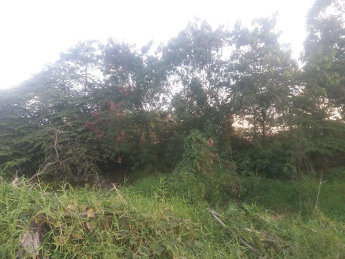 Imagem 11 de 11 de Vende Terreno Br101 Norte - Te0167