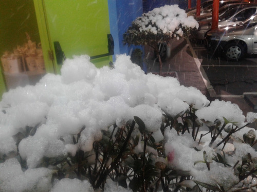 Locação Aluguel Máquinas De Neve Gelo Artificial / Eventos