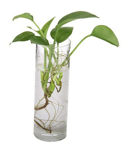 Florero Colgante Plantador De Vidrio Accesorios De
