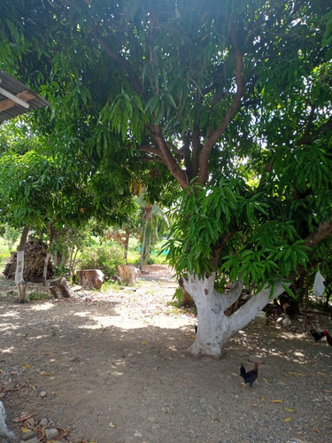 Vendo Enorme Casa De Dos Nivel En Santiago A Una Esquina De La Circunvalación Norte, República Dominicana