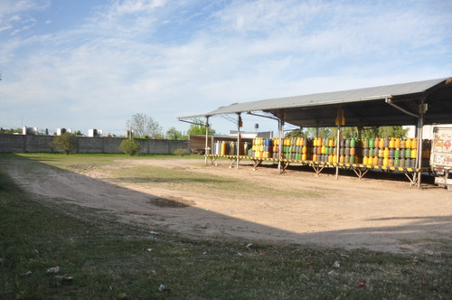 Imagen 9 de 14 de Depósito Y Terreno 10.000m2. Ingreso P/ Avenida Y Calle Lat.