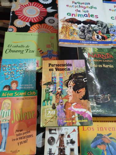 Gran Lote Libros Infantil Y Juvenil Variado. Olivos (Usado)