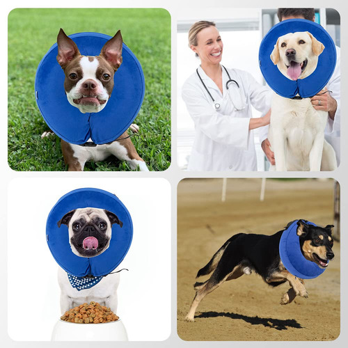 Collar Isabelino For Perros, Cono De Recuperación Inflable