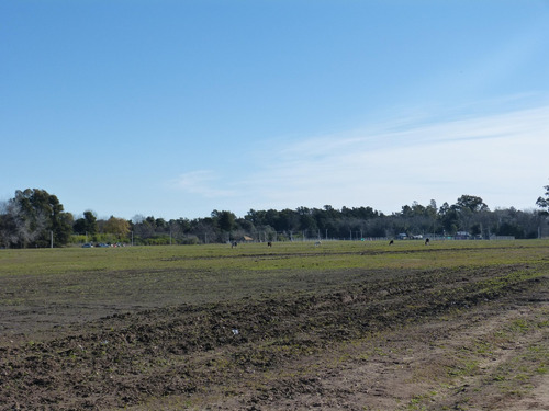 Terreno Lote En Venta En Parada Robles, Exaltación De La Cruz, G.b.a. Zona Norte
