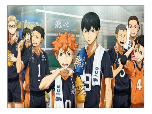 Quadro Animes - Haikyuu - Diversos - Médio