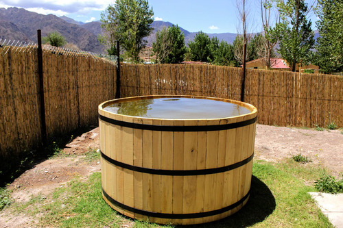 Alquilo Casa En Potrerillos