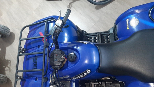 Imagen 6 de 12 de Yamaha 250 Big Bear/permuto Solo Por Raptor 250 Mismo Estad