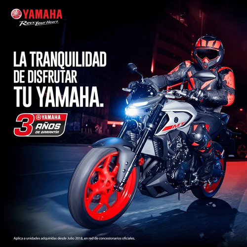 Imagen 10 de 10 de Yamaha Ybr 125 Z Bertone Motos