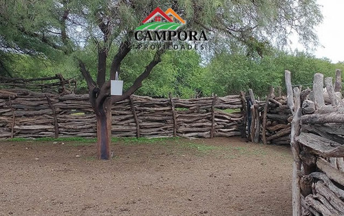 Imagen 4 de 10 de Campo A La Venta Ganadero En San Luis