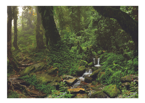 Cartaz Da Paisagem Do Aquário