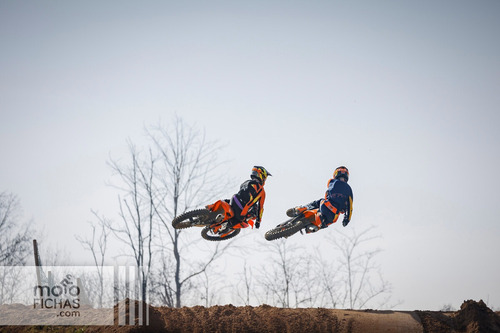 Ktm Sx-f 350 2024- Domotos