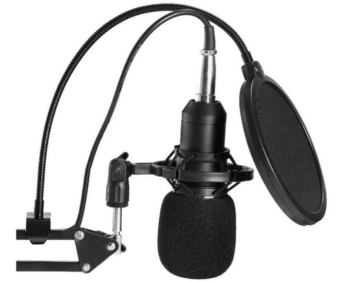 Imagen 3 de 5 de Kit Micrófono Estudio Condensador Profesional M800 + Brazo