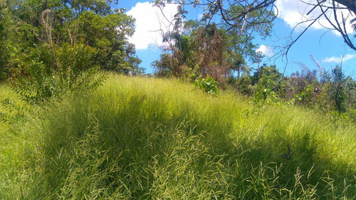 Terreno Em Santa Isabel