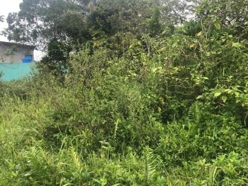 Terreno Lado Praia Local De Moradores - Itanhaém 6756 | Npc