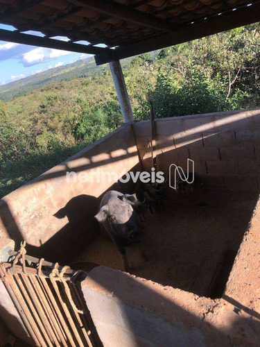 Imagem 8 de 9 de Venda Chácara Paranoá Brasília - 791131