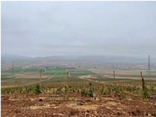 Terreno Agricola Ganadero 1.368 Has, Pan De Azúcar, Coquimbo