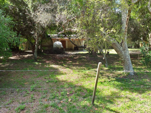Imagen 8 de 10 de Casa Quinta En Venta En Punta Indio - Dentro De La Reserva Natural Biosfera