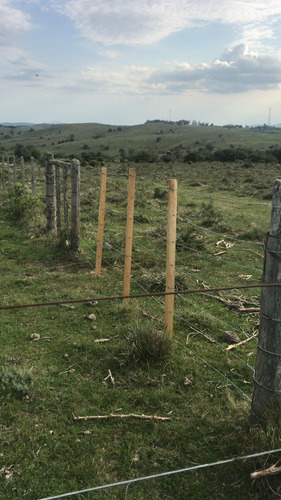 Campo Con Cerro En Ruta 60