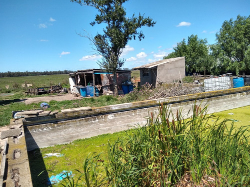 Imagen 27 de 30 de Latorre Prop Vende Campo De 34 Hectareas En Cobo