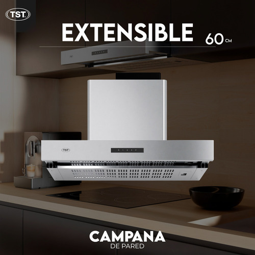 Campana Extractor Extensible De Pared 60cm X 53cm - Tst Color Plateado