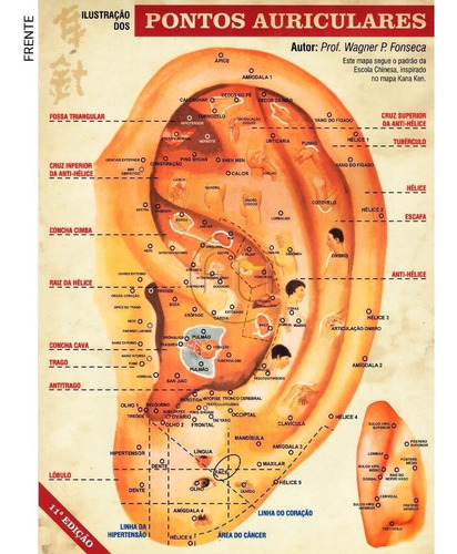 Mapa Acupuntura Auricular - Auriculoterapia Microssistemas