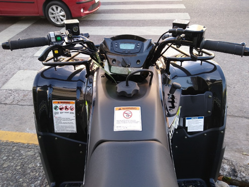 Imagen 11 de 16 de Kawasaki Brute Force 300 (no Honda 420) 12 Y 18 Sin Interes