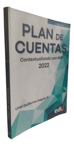 Plan De Cuentas 2022 Contextualización Con Niff Ángulo