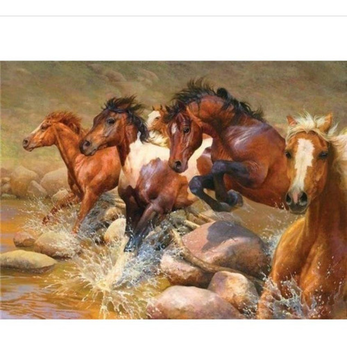 Pintura Diamante Artesania Corcel Caballo Rio Mar Paisaje