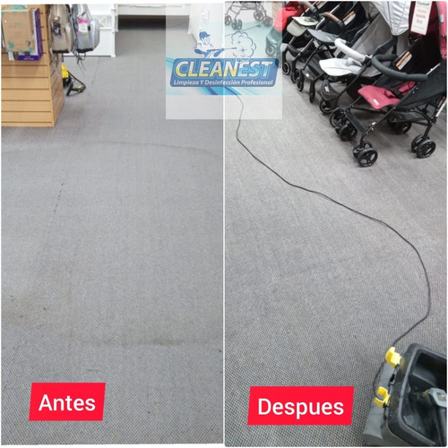Imagen 4 de 5 de Limpieza Profesional De Tapizados A Domicilio
