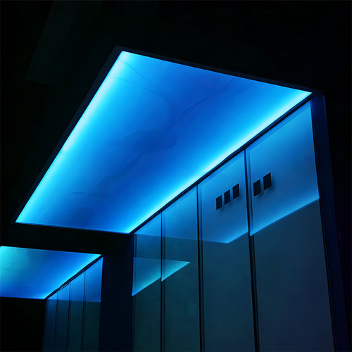 Manguera Navideña Luz Led Neon Azul Doble Vista 10 Metros