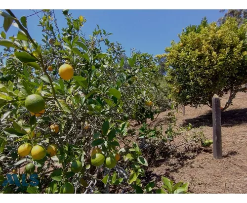 Finca En Oriente Para Disfrutar Del Silencio Y La ...(mls#245046)