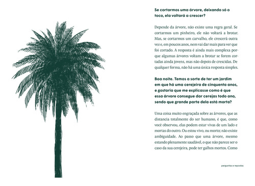A Vida Das Árvores, De Francis Halle. Série Não Aplica, Vol. Não Aplica. Editora Olhares, Capa Mole Em Português