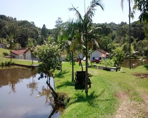 Imagem 3 de 30 de Sitio À Venda Em Juquitiba, - 21 - 32982657