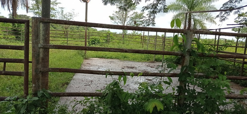 Imagen 15 de 17 de Finca En Cojedes En Venta, Berenice Martinez 04244041893 Cl-bm491