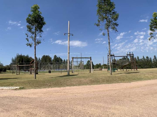 Imagen 12 de 13 de Venta Terreno De 1600m2 En Colinas De Carrasco