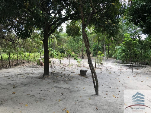 Imagem 3 de 16 de Granja A Venda Em Macaíba