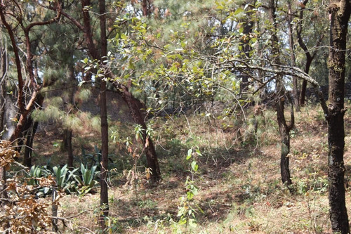 Imagen 2 de 8 de Terreno En Paraje Tetecuintla, Huitzilac, Morelos.
