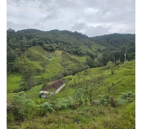 Venta Lote Guatape-concepcion Vía Náutica