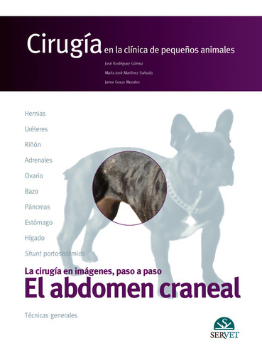 El Abdomen Craneal. Cirugía En La Clínica De Pequeños Animal