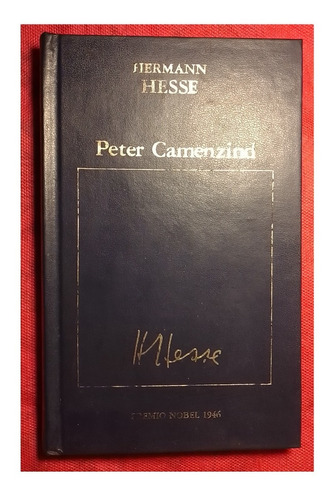 Hermann Hesse Peter Camenzind