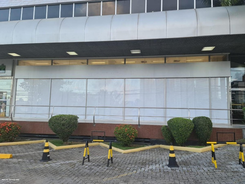 Imagem 14 de 15 de Loja Para Locação Em Salvador, Caminho Das Árvores, 2 Banheiros, 6 Vagas - Ms1147_2-1183851