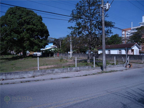 Imagem 5 de 6 de Terreno Residencial No João Paulo. - Te0041