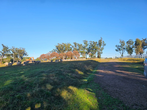 Venta De Casa En Hermosa Chacra Sobre Ruta 21