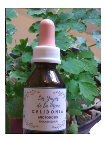 Microdosis Celidonia 20ml