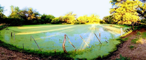 Imagen 16 de 19 de Excelente Campo En Chuchiras, San Javier