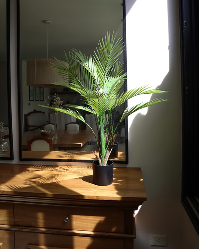 Planta Artificial Palmera Areca 80cm Calidad Premium