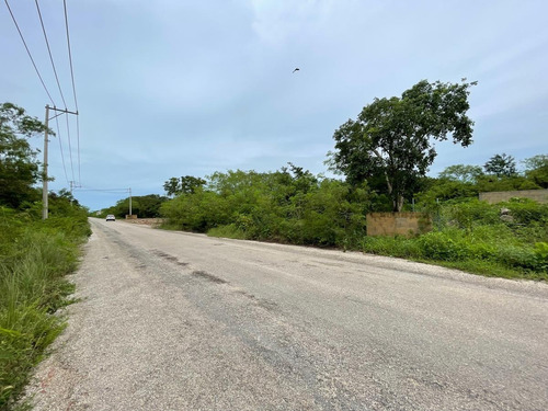 Imagen 1 de 7 de Terrenos En Temozón Con Calle Pavimentada 1, 2 O 3 Lotes Juntos - Temozon Norte