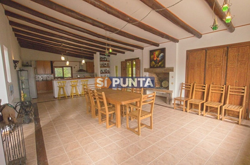 Imagen 11 de 30 de Chacra En Venta - Camino Cerro Eguzquiza