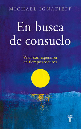 En Busca De Consuelo - Michael Ignatieff